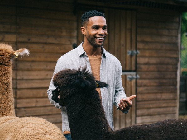 Через год в это же время (4)