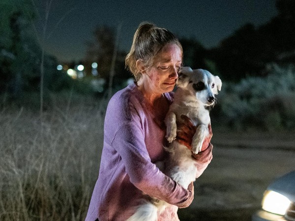 Навстречу тьме (5)