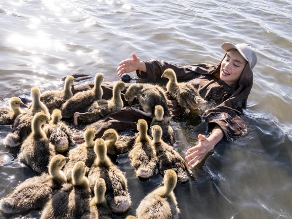 Расправь крылья (4)