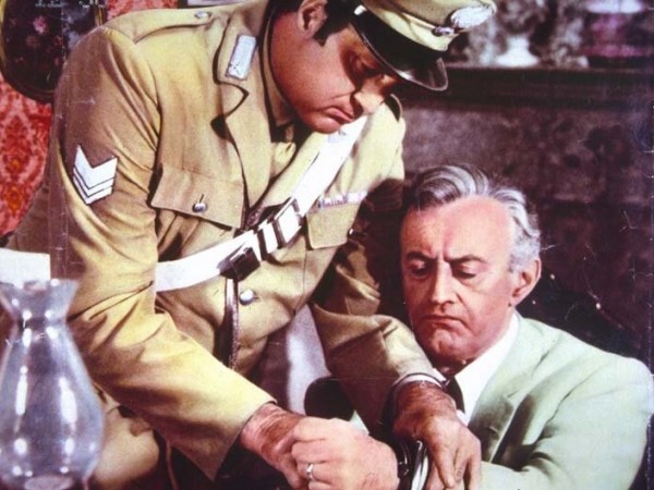 Сова появляется днём (5)