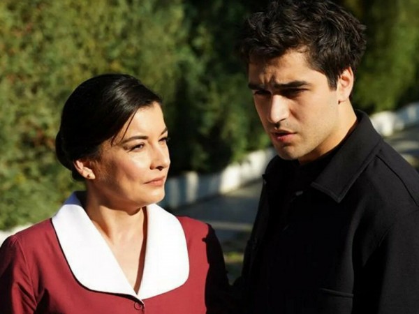 Зимородок (5)