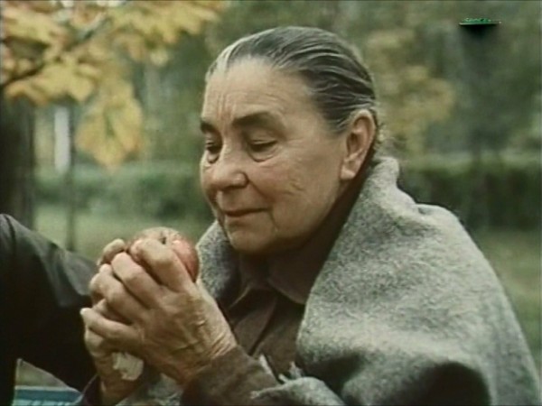 Деревья на асфальте