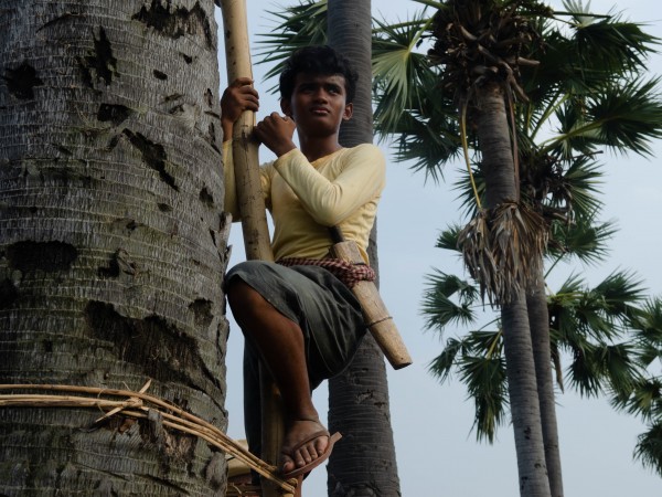 Путь к свободе (4)