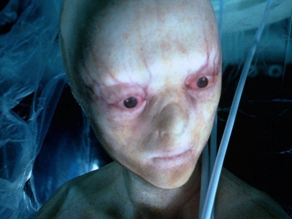 Шестой день (6)