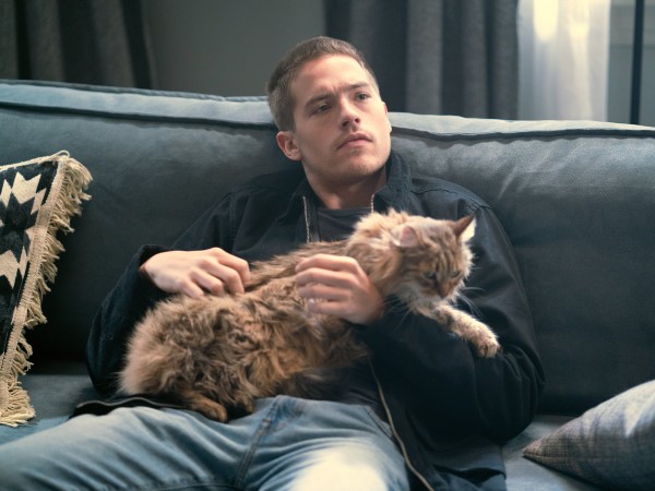 Моё прекрасное несчастье (6)