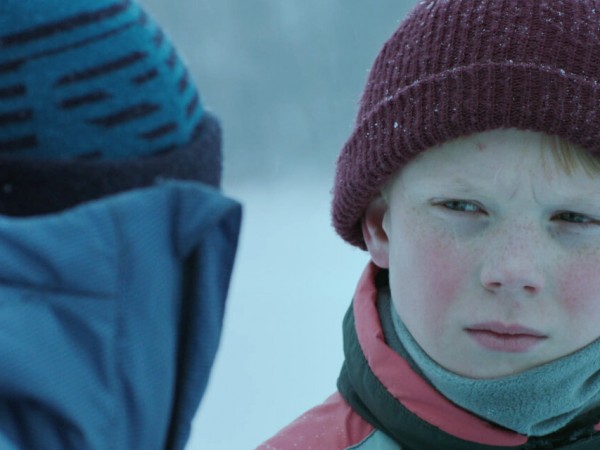 Подельники (5)