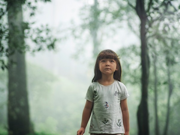 Реинкарнация. Картины с того света (3)