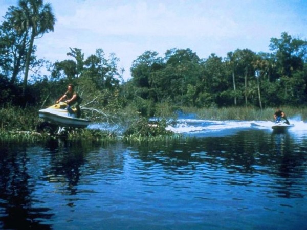 Остров МакКинси (4)