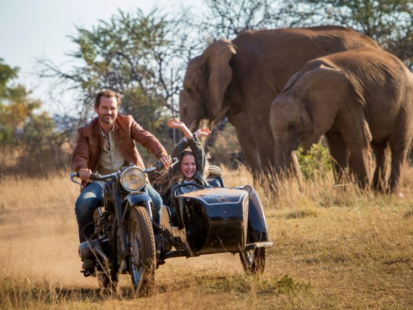 Миа и белый лев (4)