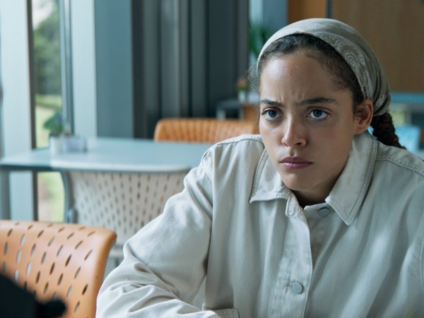 Тихий садовник (3)