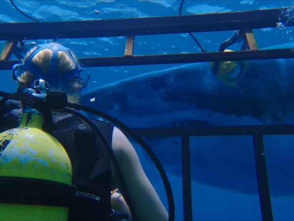 Синяя бездна (6)