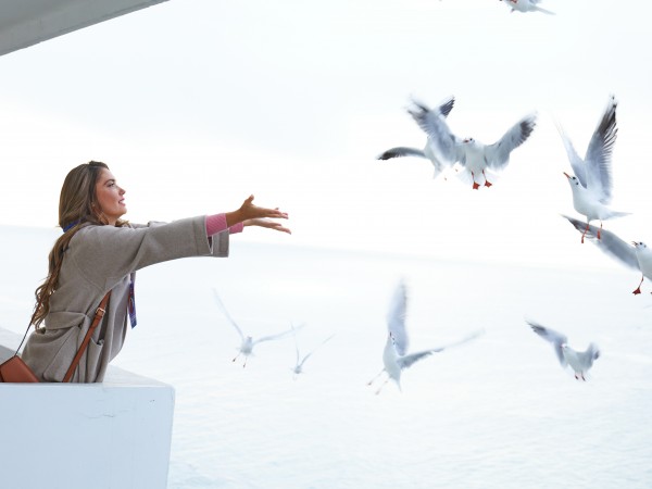 Честный развод (5)