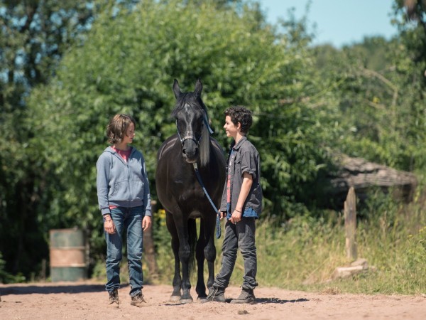 Восточный ветер. Великий ураган (2)