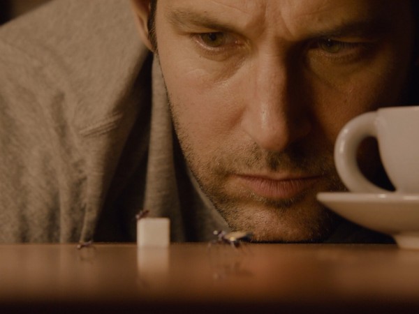 Құмырсқа-адам (3)