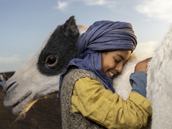 Принц пустыни (4)