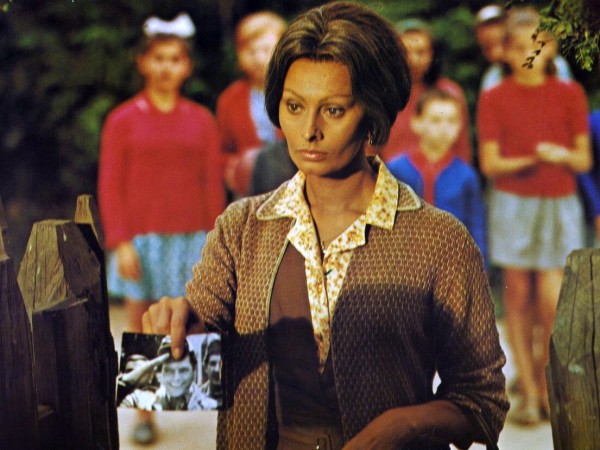 Подсолнухи (3)