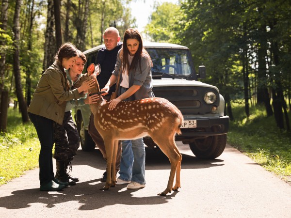 Паромщица. Долина мечты (4)