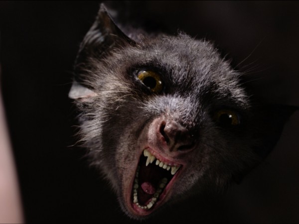 Он — дракон (4)