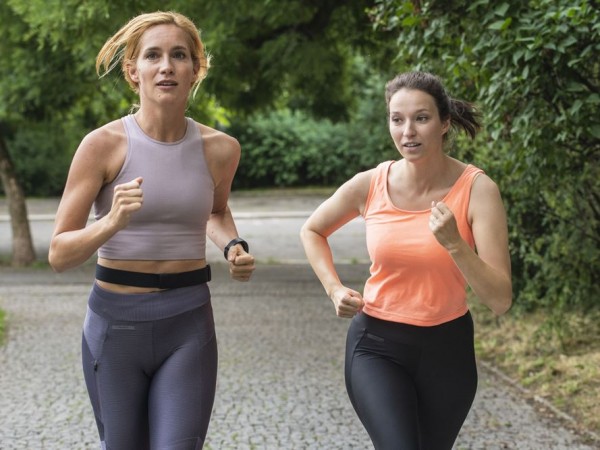 Знакомьтесь, пёс (3)