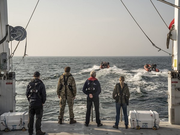 Расследование (2)