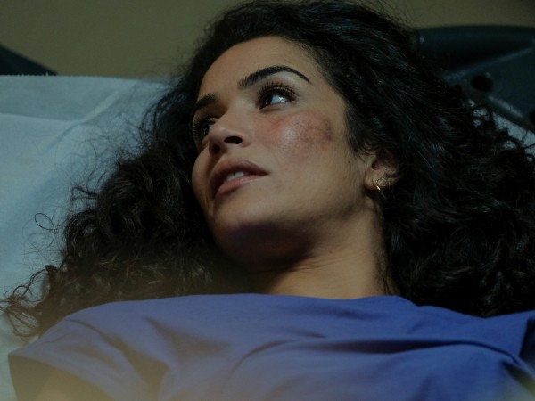 Развод в стиле кунг-фу (5)