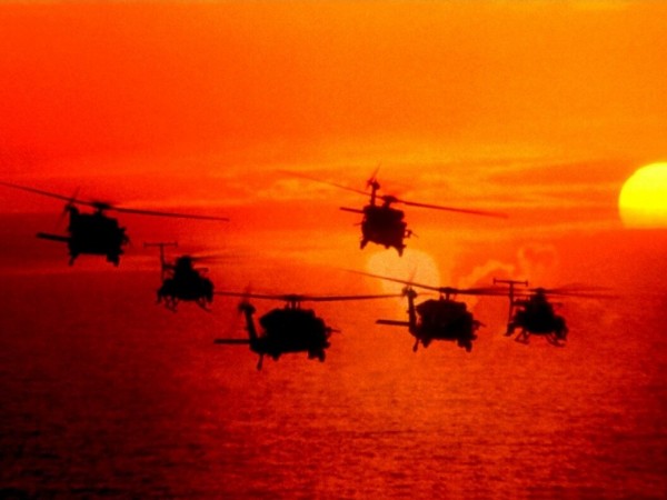 Чёрный ястреб (3)