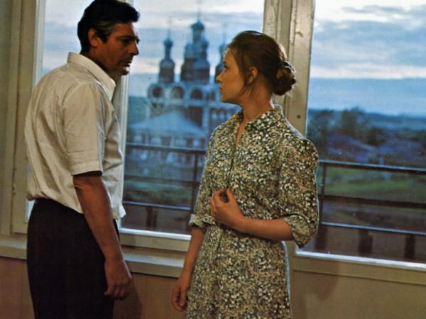 Подсолнухи (4)