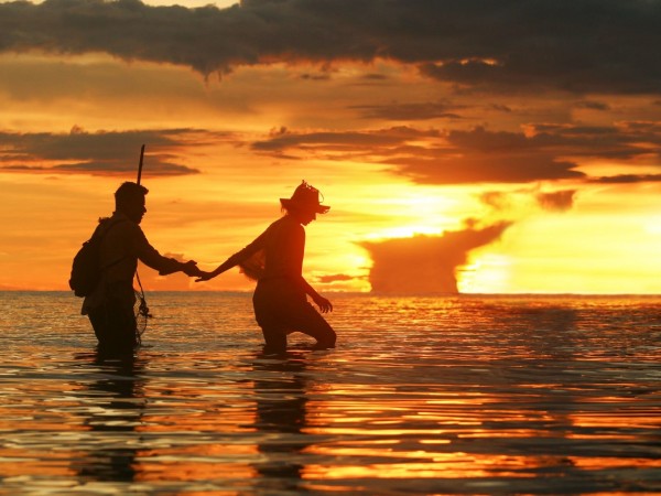 Джунгли. Райский переполох (4)