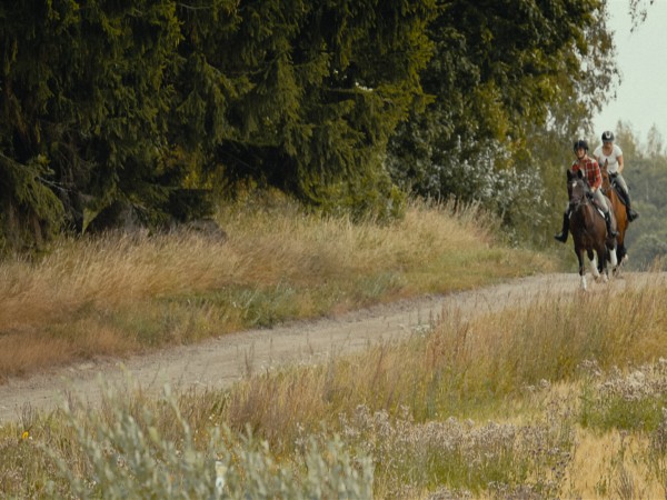 Половинка меня (2)