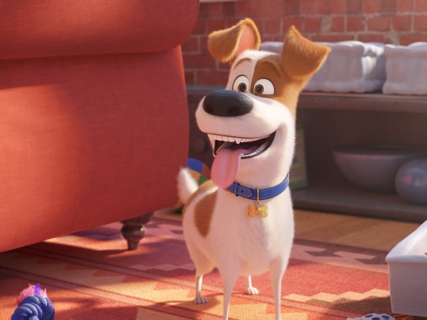 Тайная жизнь домашних животных 2 (3)