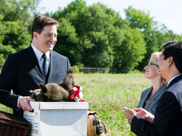 Месть пушистых (2)