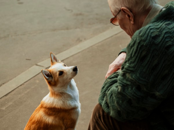 Дедушка без адреса (3)