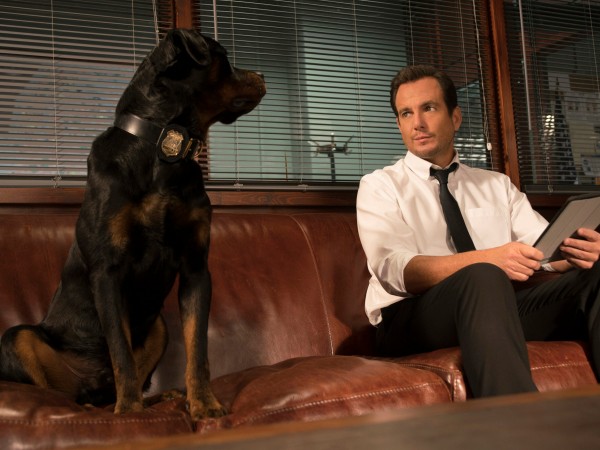 Псы под прикрытием (6)