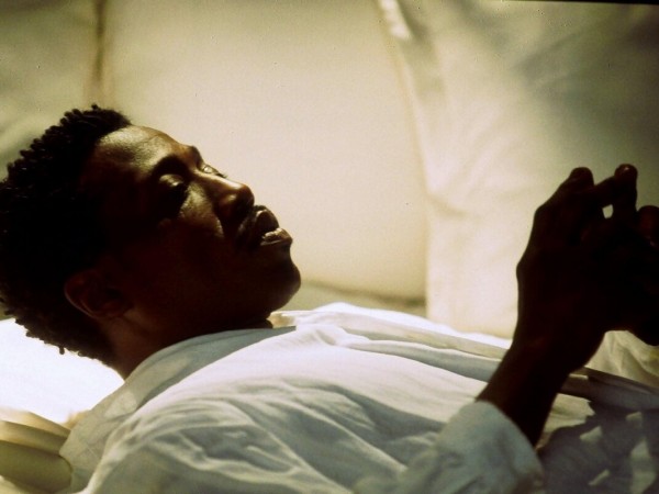 Девять жизней (5)