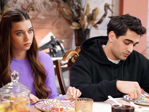 Зимородок (4)