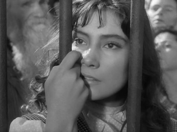 Летят журавли (4)