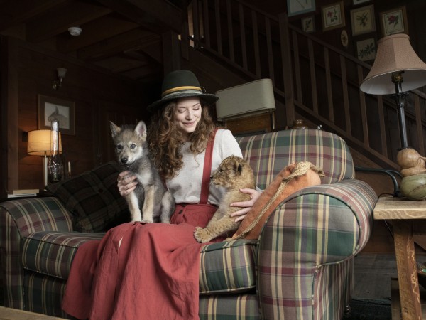 Волк и лев (6)