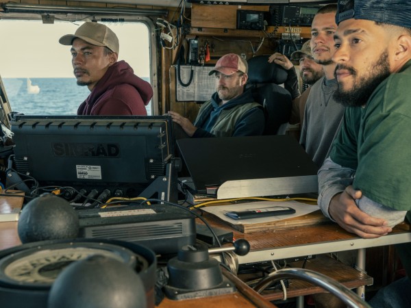 Крупный улов (6)