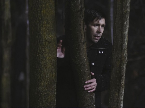 Крик совы (6)