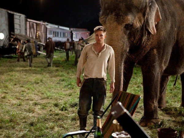 Водий слон! (6)