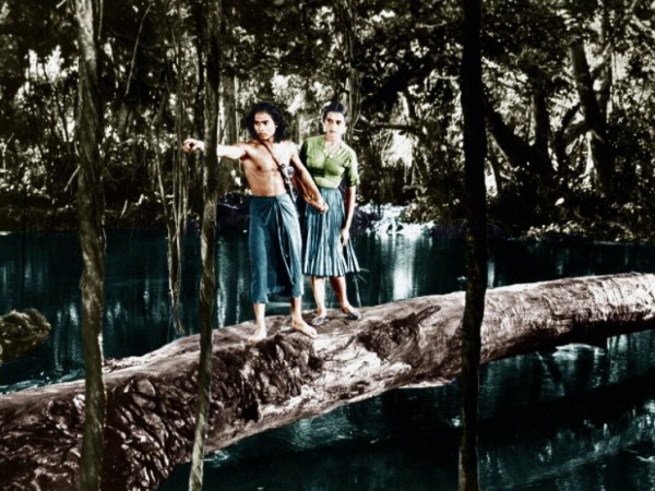 Книга джунглей (2)