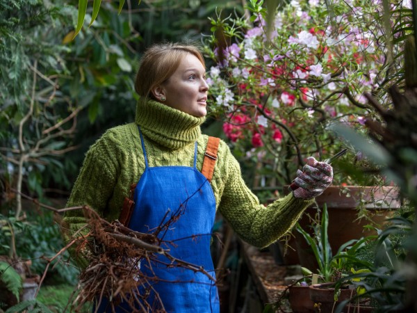 Жених для дурочки (3)