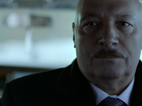 Дубровский (4)