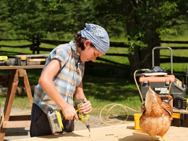 Мы купили птицеферму (3)