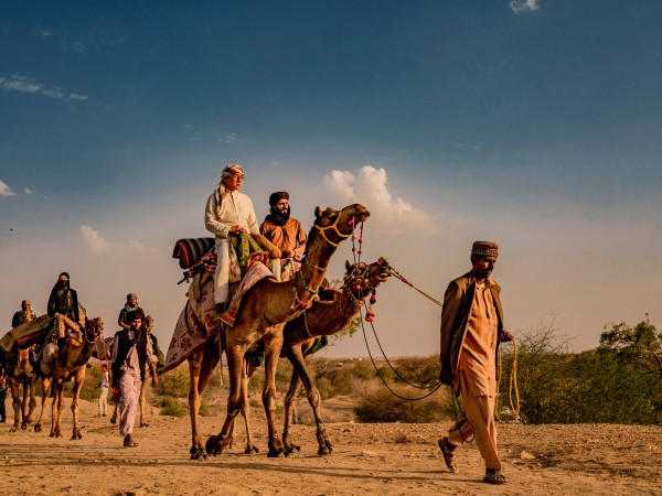 Авангард: Арктические волки (5)