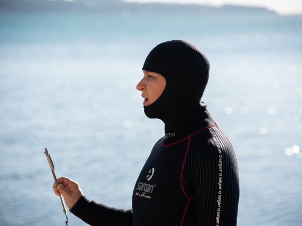 Орлинская. Стрелы Нептуна (5)