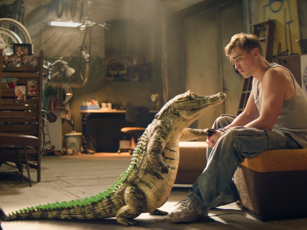 Школа магических зверей. Загадка волшебного леса (2)