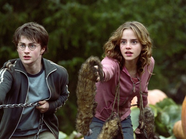 Гарри Поттер и узник Азкабана (6)