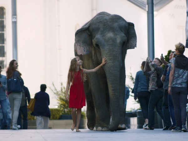 Волшебники (6)