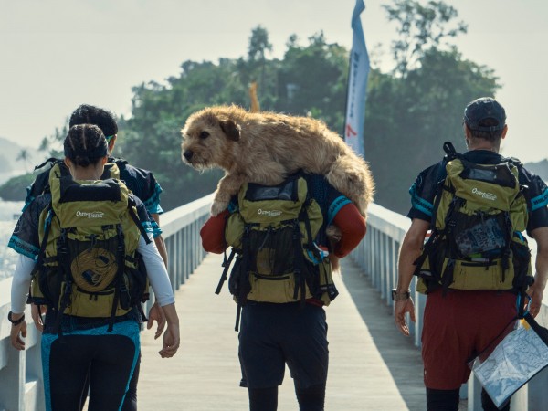 Артур, ты король (5)